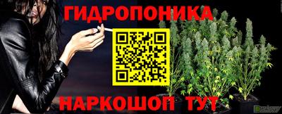 гашик Заводоуковск