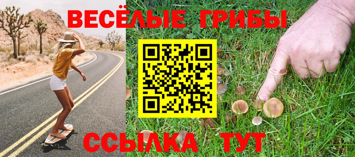 Псилоцибиновые грибы Cubensis Краснодар