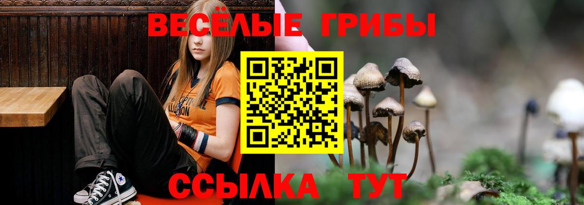 Псилоцибиновые грибы мухоморы  Вход с VPN  Краснодар 